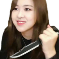 :roseknife: